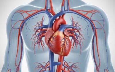Amiloride vs Spironolactone in Resistant Hypertension: A Promising Alternative or Just Non-Inferior?